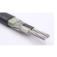 2x6mmm2concentric service cable